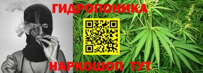 шишки Наро-Фоминск