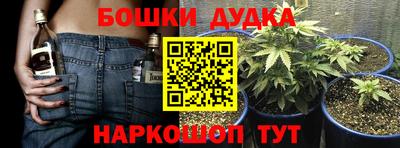 PSILOCYBIN Нальчик