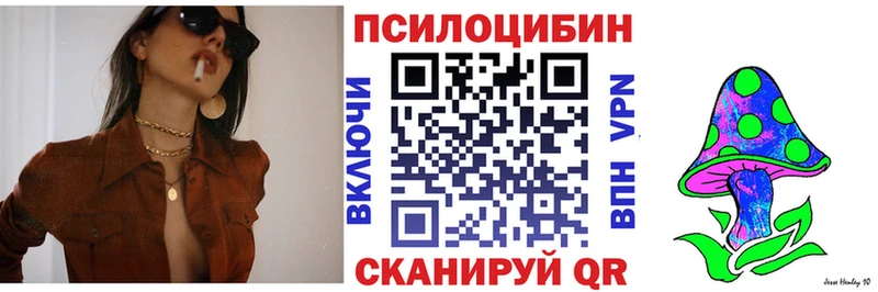 Галлюциногенные грибы мицелий  Дальнегорск 